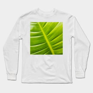 Leaf Long Sleeve T-Shirt